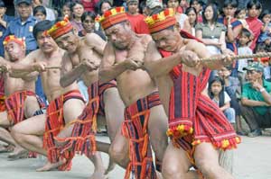 Banaue, Philippines: The Imbayah Festival 1 Ifugao men compete in the tug of war at the Imbayah Festival in Banaue, Philippines. Photos by Mike Smith, Asia Photo Stock