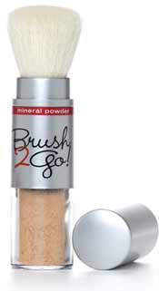 6 Items Guaranteed to Make Travel Easier 6 Brush 2 Go.