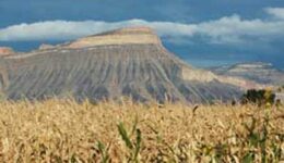 Grand Mesa