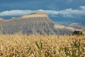 Grand Mesa