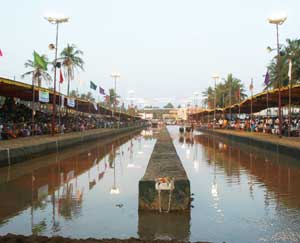 The water buffalo racing arena 