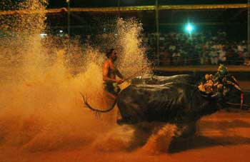 It's all about the splash.