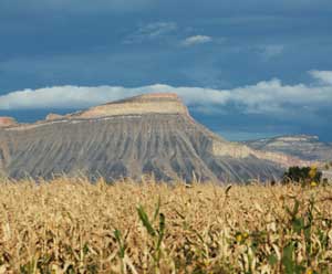 Grand Junction, Colorado: Western Charm and Mountain Splendor 4 The venerable Grand Mesa overlooks all of Grand Junction. Climbers make the difficult scramble to the top every year, including the hours just before midnight on December 31st.