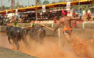 Splash, splash, splash