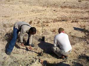 Volunteers working in Palestine - Photo courtesy of Laurie Eggett Goundeiah. 
