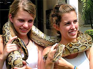 Two sisters pose with a boa constrictor at the snake farm operated by the Thai Red Cross - photos by David Rich