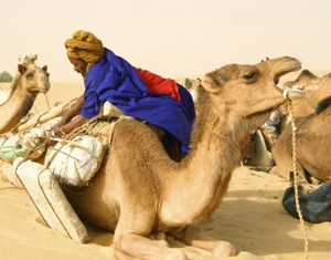 Unloading salt in the Sahara.