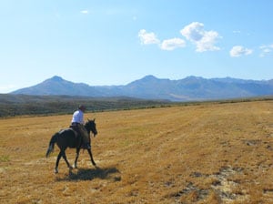 Riding the range at the 71 Ranch in Elko County, Nevada - photos by Stephen Hartshorne