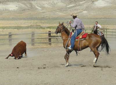 A roping demonstration