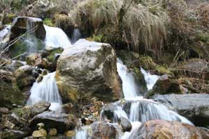 A waterfall behind the cottage