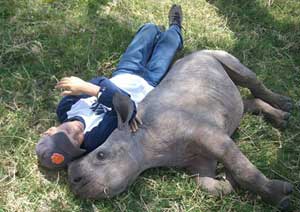 A boy relaxes with a baby rhino - photo courtesy of Elevate Destinations