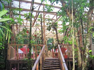 Espino Blanco Lodge: Restaurant in the forest - photo by Laurie Ellis
