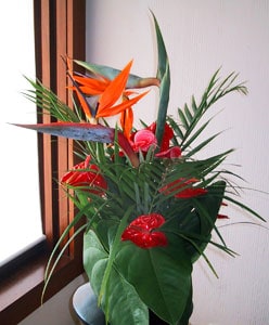 Delicious Mauritius: Sugar Plums and Coconut Therapy 2 Flowers at the Oberoi Resort in Mauritius.