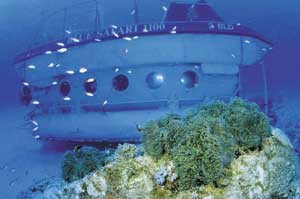 Delicious Mauritius: Sugar Plums and Coconut Therapy 6 The Blue Safari submarine