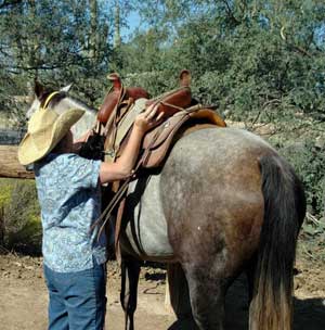 Equestrian Driver's Ed: Harmony with Horses 3 Saddling Scattergun