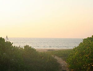 One of the many roads leading to the Surathkal Beach