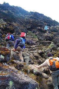 Climbing switchbacks