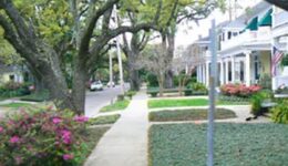 liveoaks
