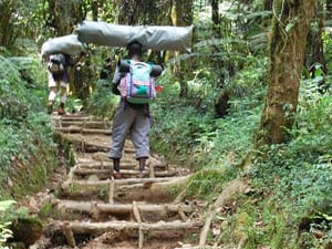 Porters on the trail