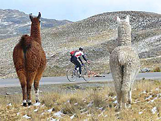 On the road to La Oroya, Peru