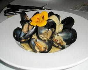 Puerto Vallarta, Mexico: Plenty of Peace and Quiet 8 Mussels and Ravioli in an Oyster Cream Sauce at La Leche