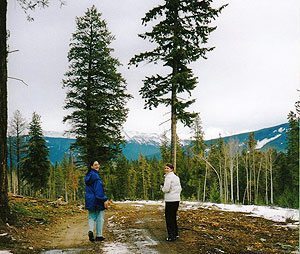 Jasper, Alberta: Winter Fun with the Girls 4 Carrie and I hiking the trails behind Jasper - a bit muddy in March