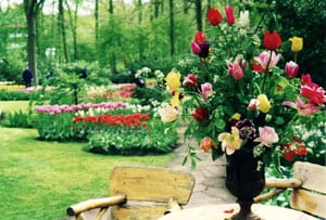 Keukenhof Gardens