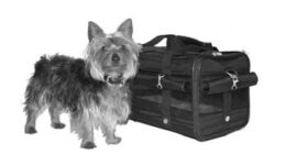 Rusty_and_Sherpa_Carrier