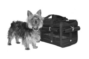 Rusty_and_Sherpa_Carrier