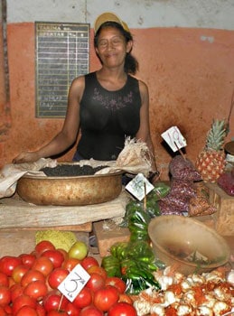 A food vendor in Havana