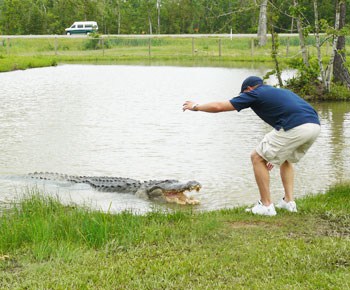 Gary Saurage and Big Al, a 13-foot alligator that weighs more than half a ton.