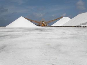 Bonaire, Dutch West Indies: Well Worth Its Salt 10 Salt mine in Bonaire. Photo: Cargill