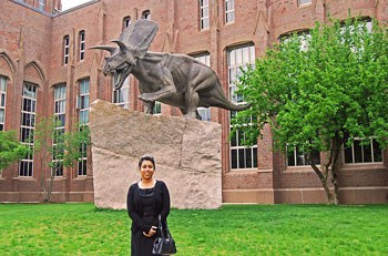 New Haven,Yale