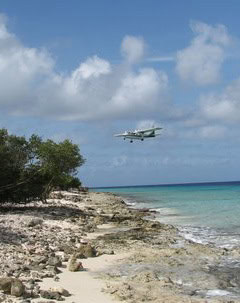 Bonaire, Dutch West Indies: Well Worth Its Salt 11 A plane lands at the airport on Bonaire