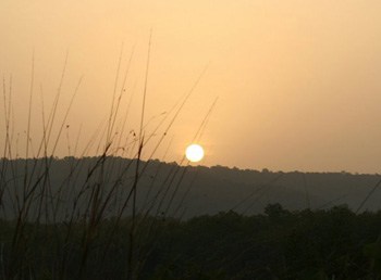 History, I captured a sunrise at Kanha National Park.