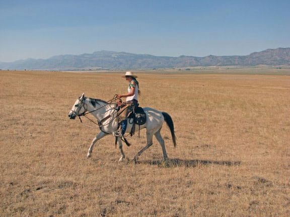 Fandango Ranch