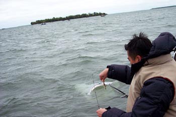 leech lake minnesota