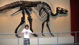 dinosaur