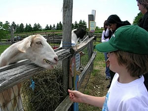 Forsythe Family Farms.