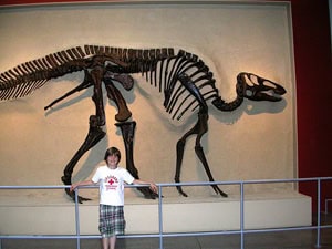 Inside the Royal Ontario Museum.