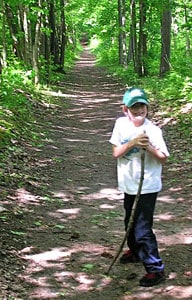 On the trail in York Regional Forest