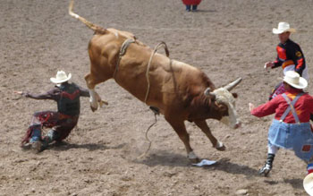 Wyoming: Cheyenne's Frontier Days Bring the Old West to Life 6 Distracting the bull