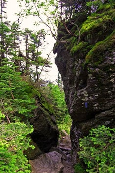 Hiking Mount Mansfield, Vermont's Highest Peak 3 The slimy wet rocks of the Cliff Trail. This trail is rated "DDD" or "Very Difficult" by the Mount Mansfield Visitor's Guide.