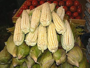 Corn at the public market in Iquique. It's eaten here on the cob and in ceviche, the raw fish appetizer. photo by Max Hartshorne.