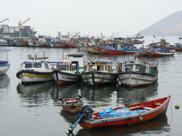Fishing boats in Iquique harbor. photo by Max Hartshorne.