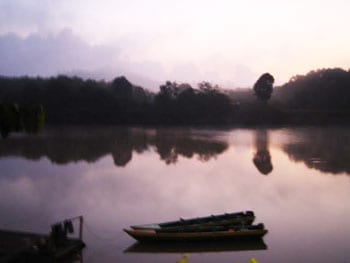 Early morning mist rises off the Kinabatangan