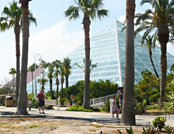 The pyramids of Moody Gardens