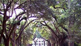 Rosedown Plantation, St Francisville, LA.
