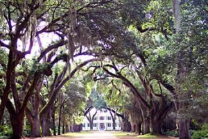Rosedown Plantation, St Francisville, LA.