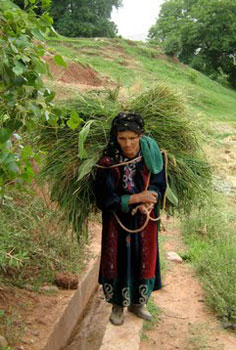 Morocco's Bougmez Valley: An Unspoiled Shangri-La 5 Woman carrying bundle in Ait Bououli